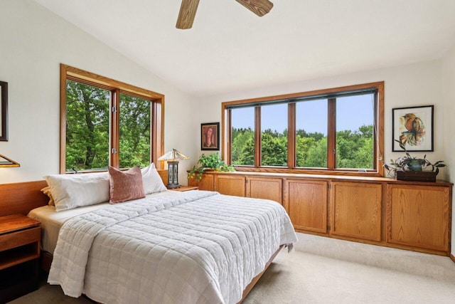W318S4121 Highview Rd, Waukesha, WI 53189 - bedroom with lofted ceiling, carpet flooring, and ceiling fan
