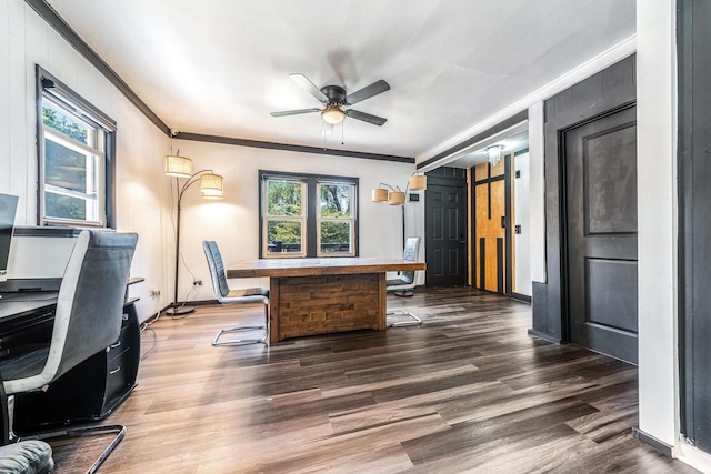 500 S Pierce Ave, Appleton, WI 54914 - office area featuring ornamental molding, a ceiling fan, and wood finished floors