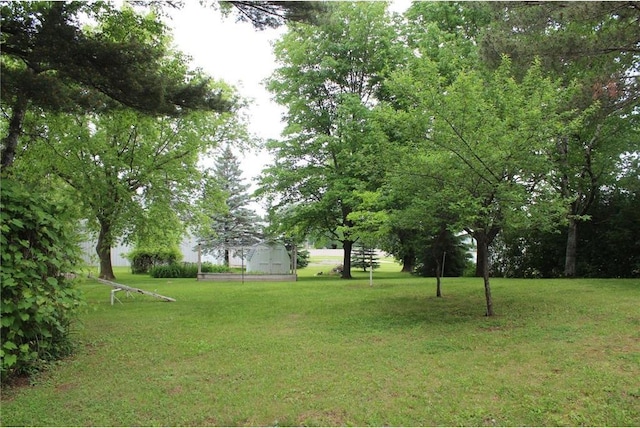 514 S Robert St, Grantsburg, WI 54840 - view of grassy yard