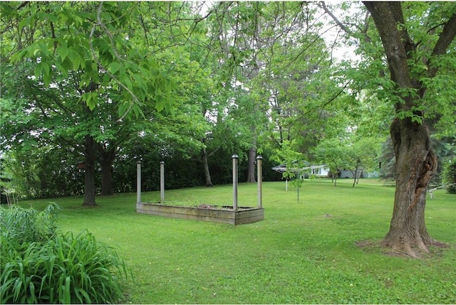 514 S Robert St, Grantsburg, WI 54840 - view of green lawn