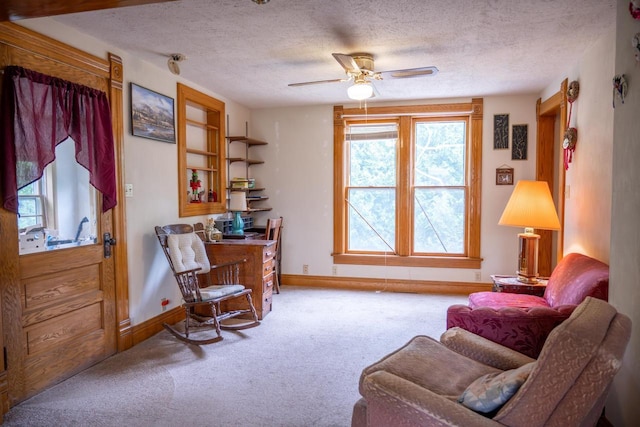 318 Tremont St, Mauston, WI 53948 - living area featuring a ceiling fan, carpet, and a textured ceiling