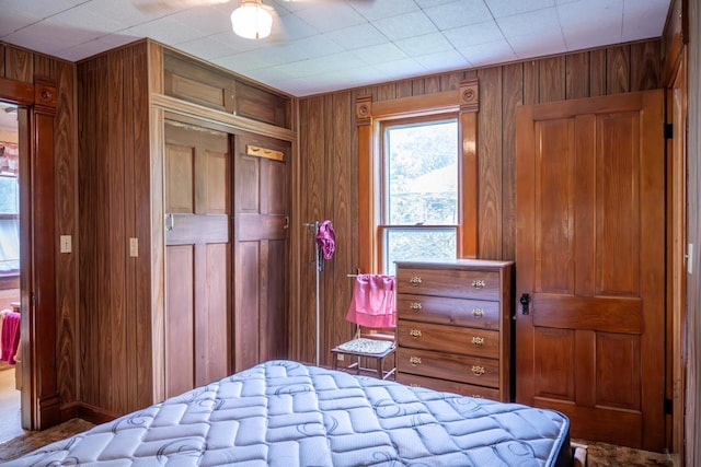 318 Tremont St, Mauston, WI 53948 - bedroom with wood walls and a closet