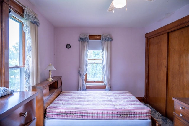 318 Tremont St, Mauston, WI 53948 - bedroom featuring multiple windows and ceiling fan