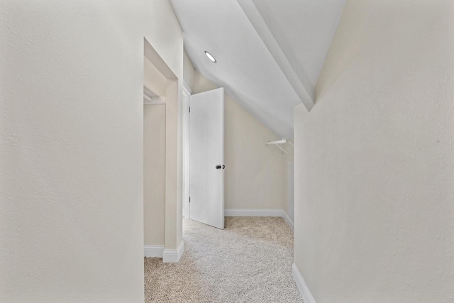 3700 S 21st St, Milwaukee, WI 53221 - hallway with carpet flooring and lofted ceiling