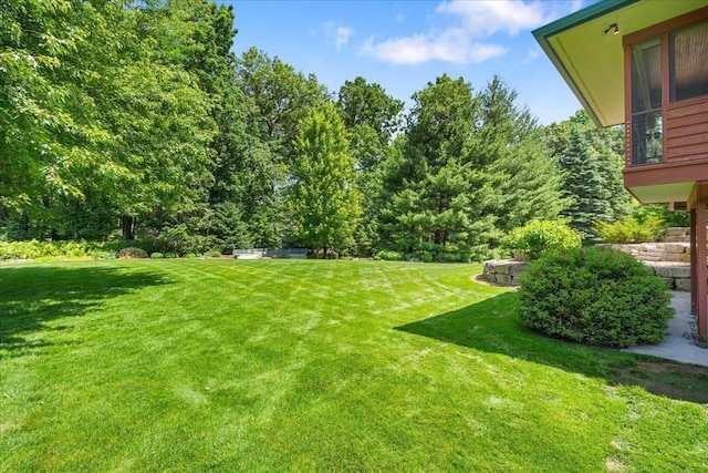 5870 Persimmon Dr, Fitchburg, WI 53711 - view of green lawn