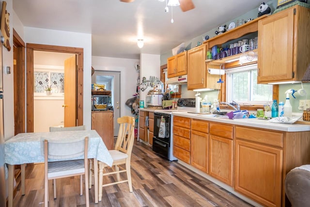 1949 Cypress Ln, Arkdale, WI 54613 - kitchen featuring black range with electric stovetop, under cabinet range hood, light countertops, a ceiling fan, and wood finished floors