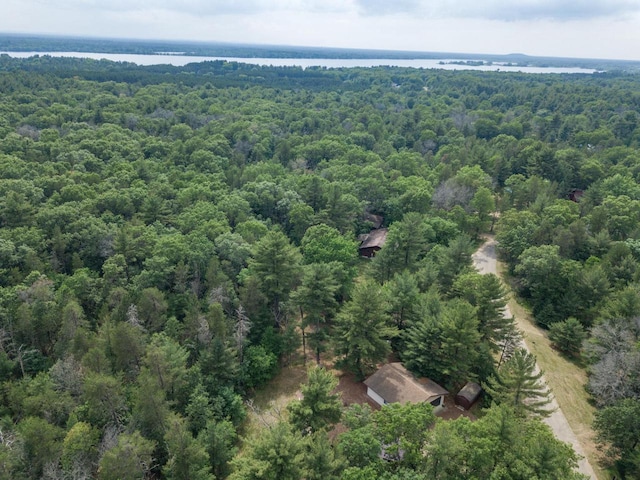 1949 Cypress Ln, Arkdale, WI 54613 - drone / aerial view of a large body of water