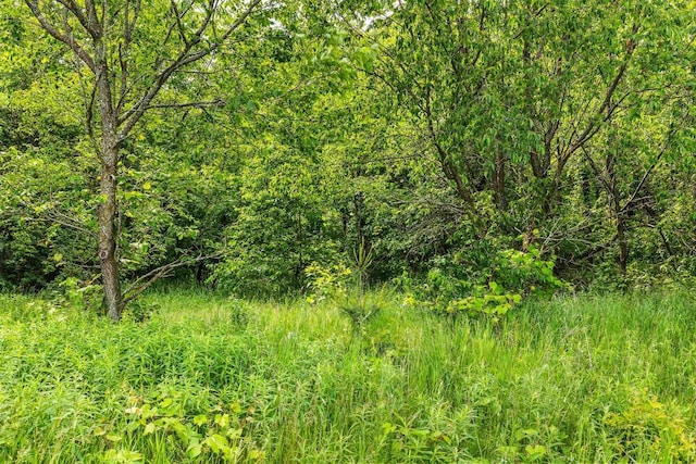 LOT18 Chokecherry Ln, Amherst, WI 54406