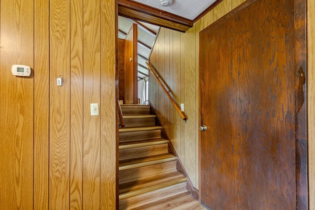 7040 Blonien Ave, Rudolph, WI 54475 - stairs featuring wood walls and wood finished floors