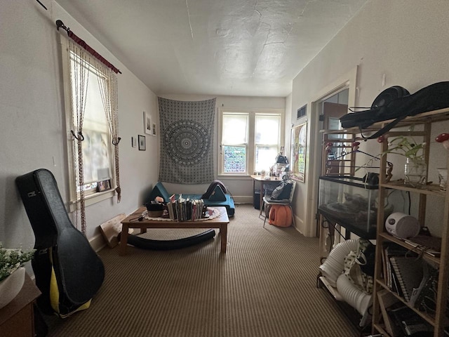 2467 N Bartlett Ave Unit 2467A, Milwaukee, WI 53211 - sitting room featuring carpet flooring and baseboards