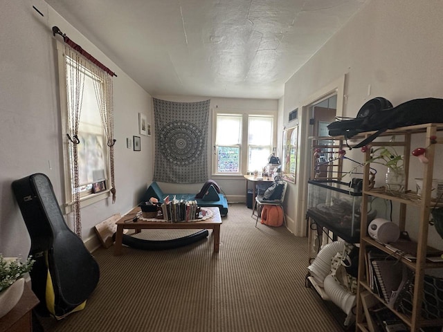 2467 N Bartlett Ave Unit 2467A, Milwaukee, WI 53211 - sitting room with carpet floors and baseboards