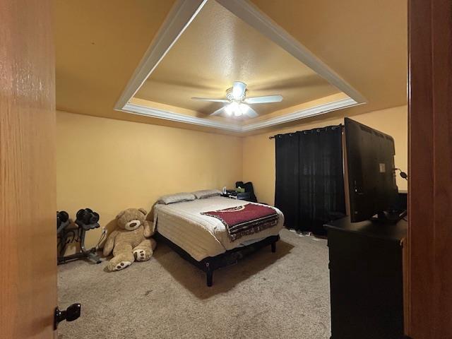 5201 Lombardy Dr, Wausau, WI 54401 - carpeted bedroom with a tray ceiling and ceiling fan