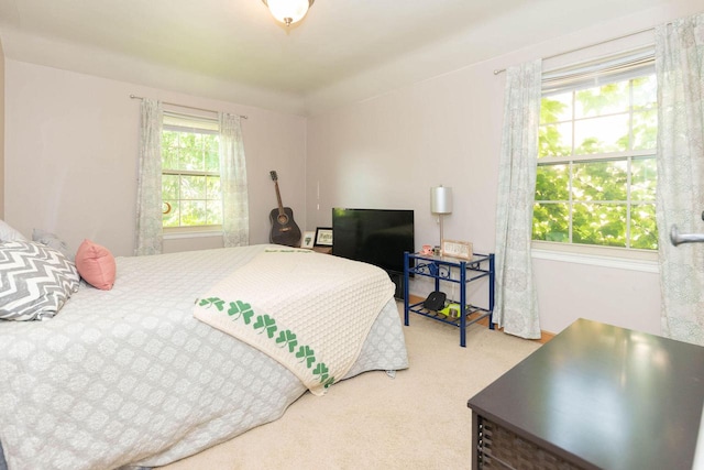 6533 W Center St, Wauwatosa, WI 53210 - view of carpeted bedroom