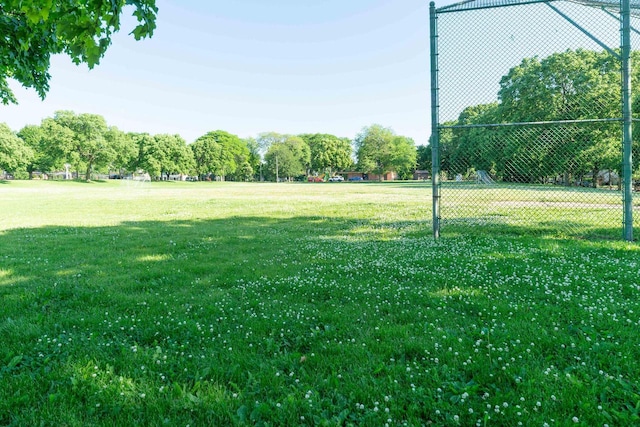 6533 W Center St, Wauwatosa, WI 53210 - view of yard