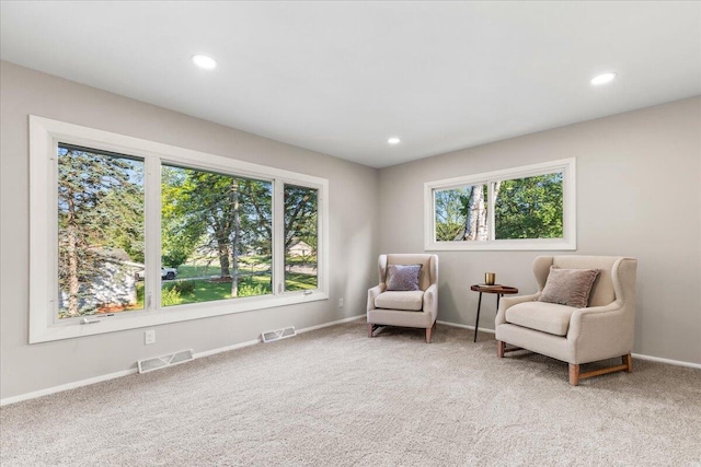 N113W20588 Edgewood Dr, Germantown, WI 53022 - sitting room with carpet floors and recessed lighting