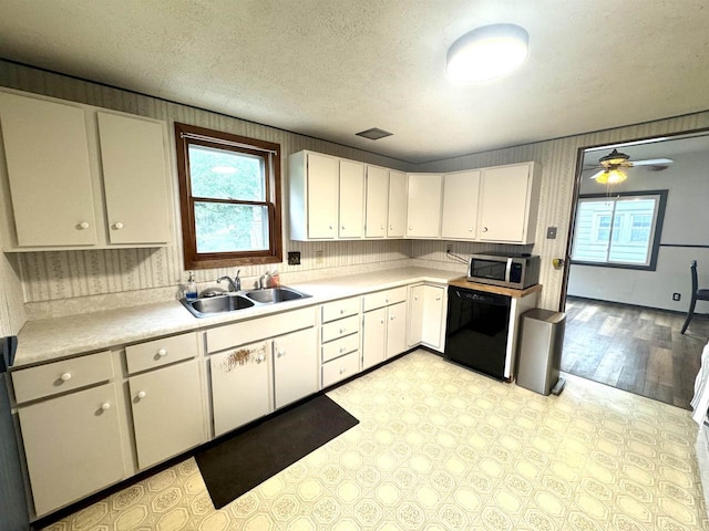 514 Robert St, Fort Atkinson, WI 53538 - kitchen with black dishwasher, stainless steel microwave, plenty of natural light, light countertops, and a textured ceiling