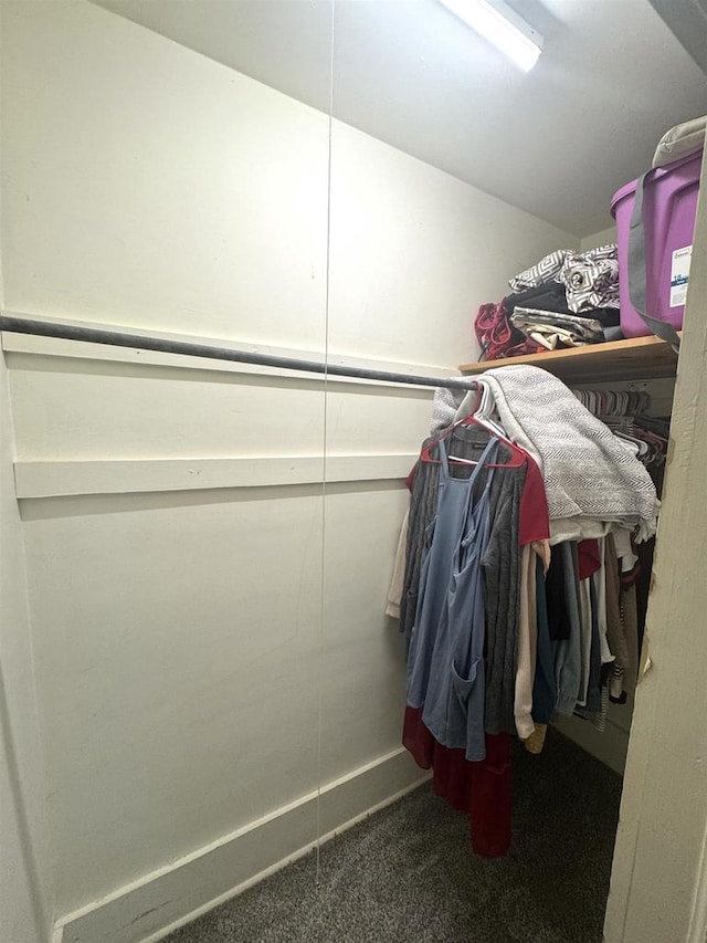 514 Robert St, Fort Atkinson, WI 53538 - walk in closet featuring carpet flooring