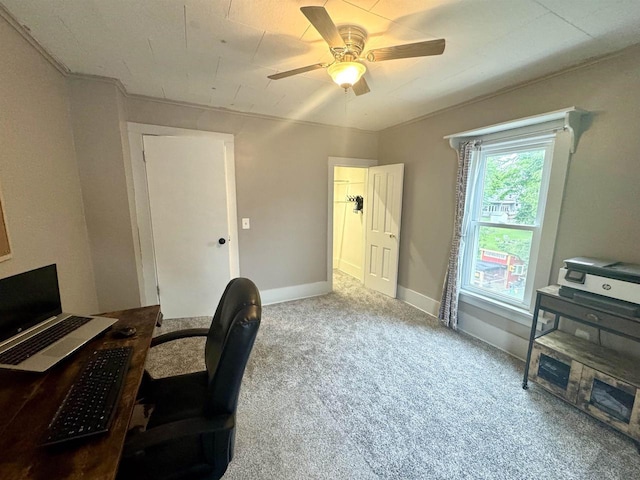 514 Robert St, Fort Atkinson, WI 53538 - home office with carpet and a ceiling fan