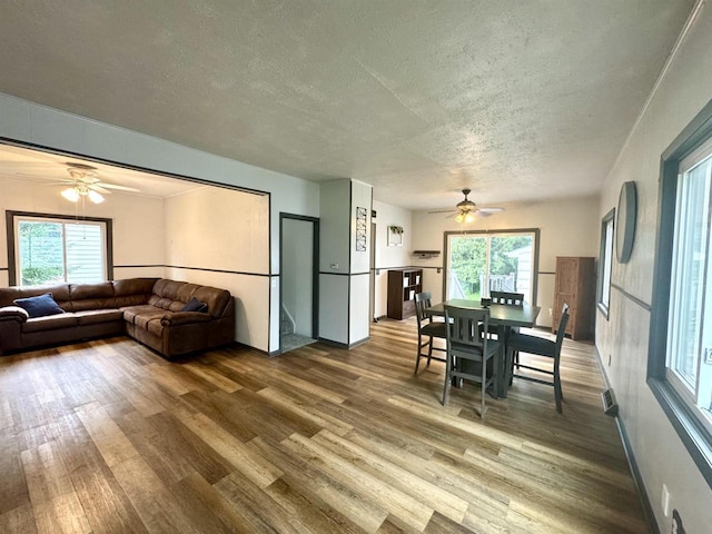 514 Robert St, Fort Atkinson, WI 53538 - dining room featuring ceiling fan, wood finished floors, and a textured ceiling