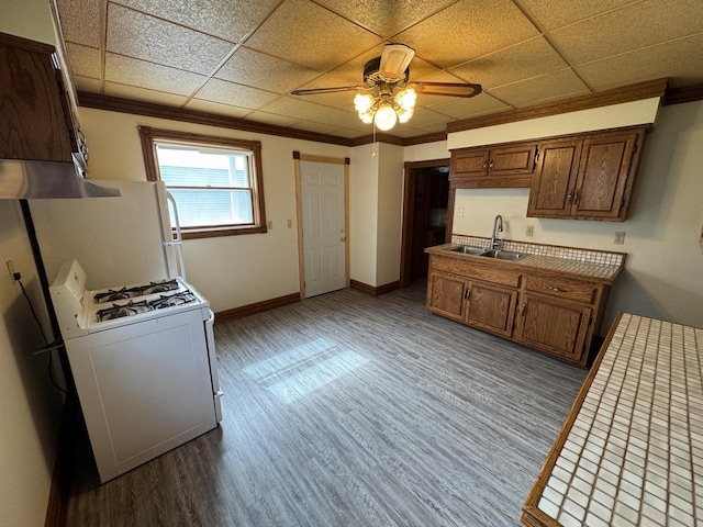 747 S 37th St, Milwaukee, WI 53215 - kitchen with white gas stove, a ceiling fan, crown molding, wood finished floors, and tile counters