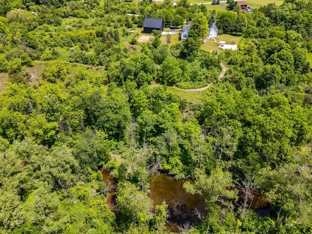 4047 Scenic Rd, Jackson, WI 53037 - aerial view