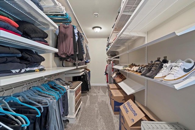 8061 S River Ln, Franklin, WI 53132 - spacious closet featuring light carpet