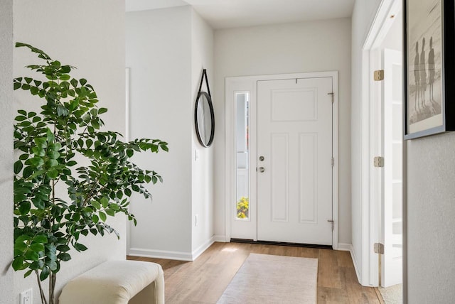 309 Paradise Ct, Hartland, WI 53029 - entrance foyer featuring wood finished floors and baseboards