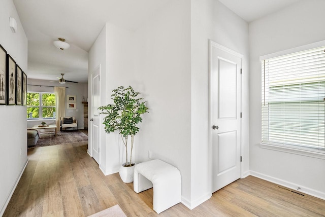 309 Paradise Ct, Hartland, WI 53029 - hallway featuring light wood-type flooring