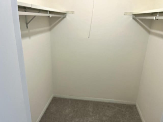 2200 W Good Hope Rd Unit 115, Glendale, WI 53209 - walk in closet with carpet