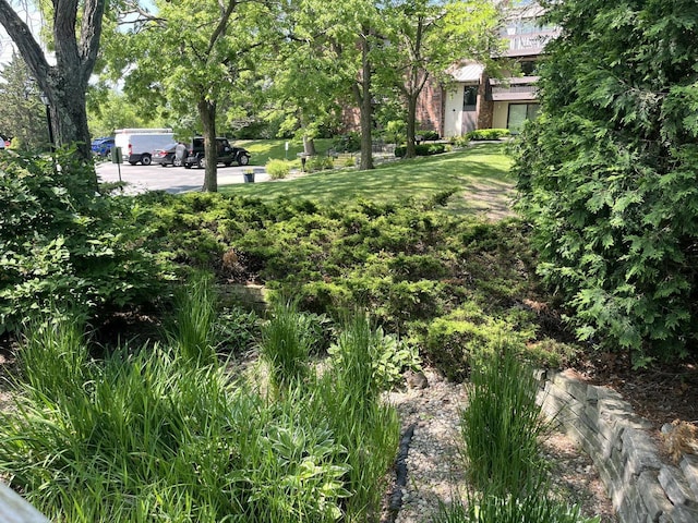 2200 W Good Hope Rd Unit 115, Glendale, WI 53209 - view of yard