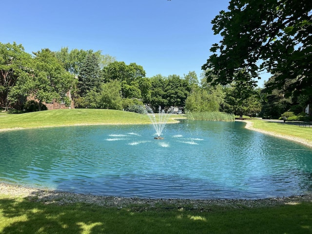 2200 W Good Hope Rd Unit 115, Glendale, WI 53209 - water view with a tree filled landscape