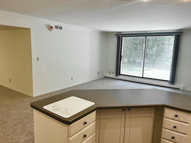 2200 W Good Hope Rd Unit 115, Glendale, WI 53209 - kitchen with dark countertops, carpet floors, baseboard heating, and crown molding