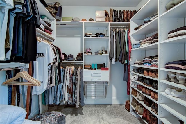 6649 Hope Ln, Eau Claire, WI 54701 - walk in closet featuring carpet