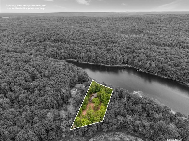 5683N Ham-Holly Dr, Stone Lake, WI 54876 - aerial overview of property's location with property parcel outlined