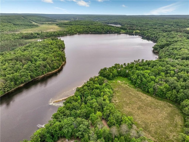 5683N Ham-Holly Dr, Stone Lake, WI 54876 - bird's eye view of a nearby body of water