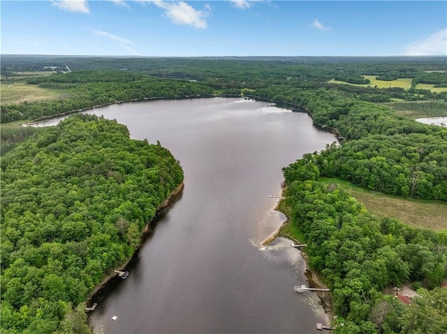 5683N Ham-Holly Dr, Stone Lake, WI 54876 - drone / aerial view of a large body of water and a heavily wooded area