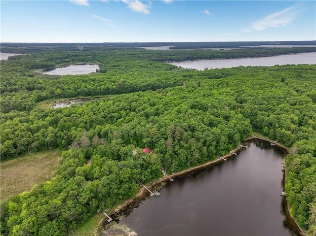 5683N Ham-Holly Dr, Stone Lake, WI 54876 - drone / aerial view of a heavily wooded area and a large body of water