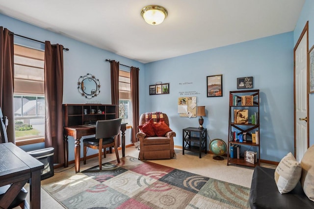 8216 Anna Ave, Wind Lake, WI 53185 - home office featuring carpet and baseboards