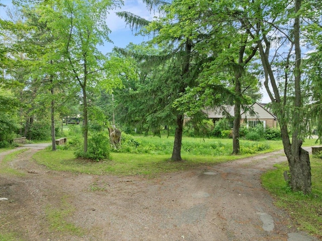 1507 N Peach Ave, Marshfield, WI 54449 - view of dirt / gravel road