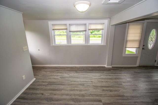 1617 Sauk Trail Rd, Sheboygan, WI 53081 - entryway featuring plenty of natural light, dark wood finished floors, and ornamental molding