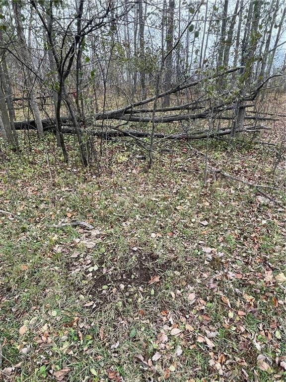 TBD 110th St, Amery, WI 54001