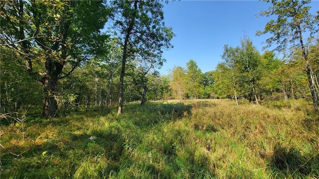 TBD 110th St, Amery, WI 54001