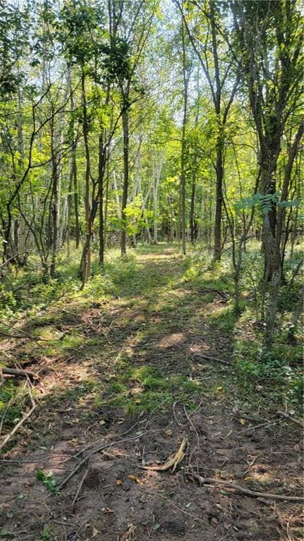 TBD 110th St, Amery, WI 54001