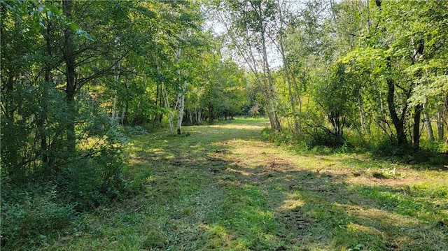 TBD 110th St, Amery, WI 54001
