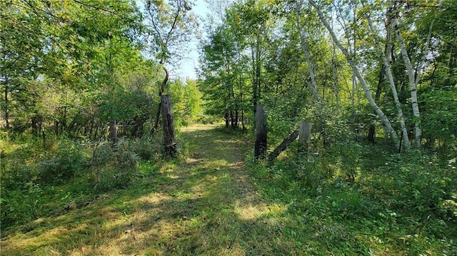 TBD 110th St, Amery, WI 54001