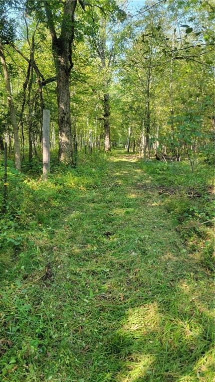 TBD 110th St, Amery, WI 54001