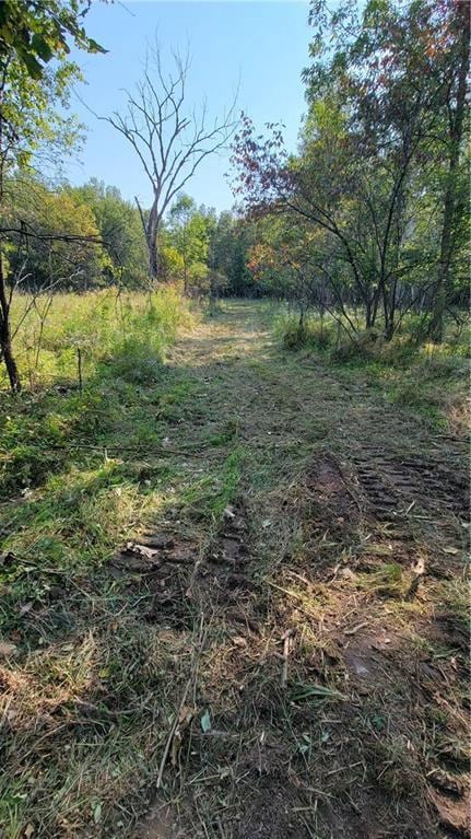 TBD 110th St, Amery, WI 54001