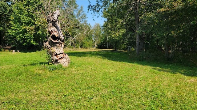 TBD 110th St, Amery, WI 54001
