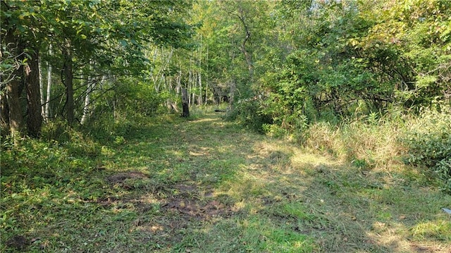 TBD 110th St, Amery, WI 54001