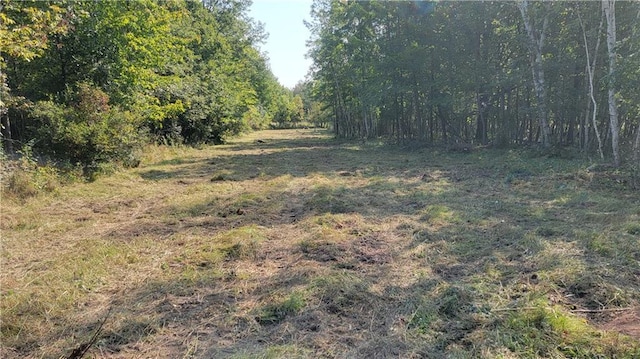 TBD 110th St, Amery, WI 54001